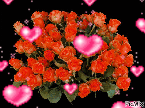Rózsa csokor - Darmowy animowany GIF