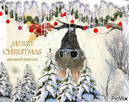 Merry Christmas Form A Bat - GIF animado gratis