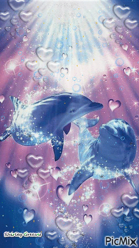 Dolphins - Free animated GIF