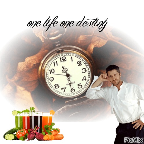 One Life One Destiny Starts Today - gratis png