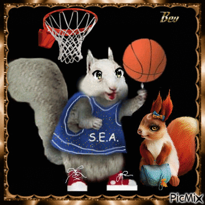 Squirrel sport - Bezmaksas animēts GIF