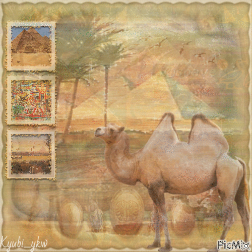 Camel - GIF animé gratuit