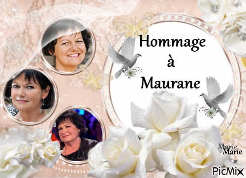 hommage à Maurane - ücretsiz png