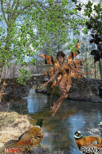 les faisans - Darmowy animowany GIF