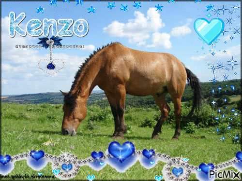 Kenzo ♥ - Gratis animerad GIF