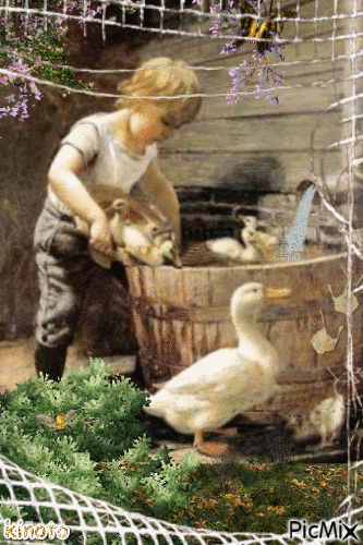 Bañando patos - 免费动画 GIF