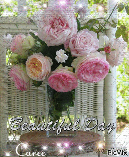 Pink Roses on a outdoor table - Free animated GIF