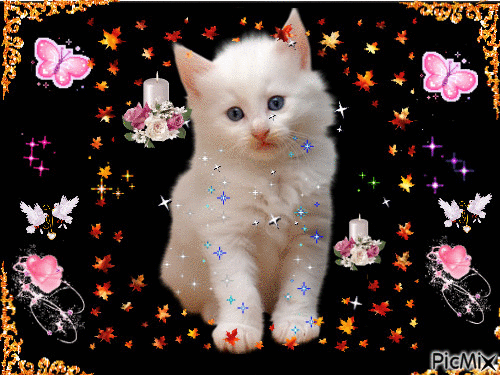 petit chaton Ma création Sylvie - GIF animado gratis