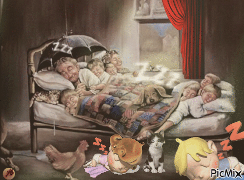 Todos duermen juntos - Animovaný GIF zadarmo