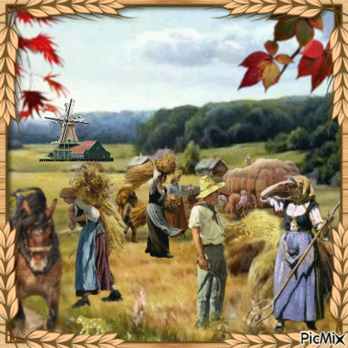 Wheat - Harvest - Ingyenes animált GIF