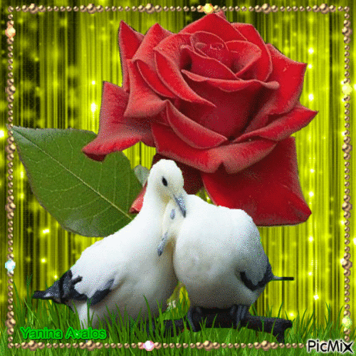 love and rose - Nemokamas animacinis gif