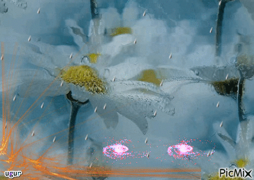 suda papatya - Besplatni animirani GIF