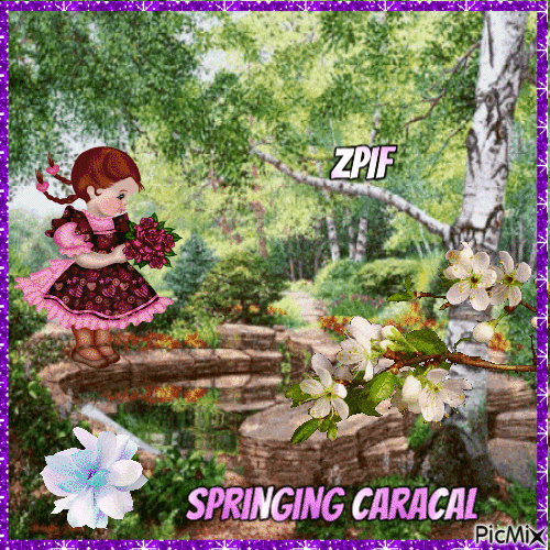 Springing caracal - GIF animé gratuit
