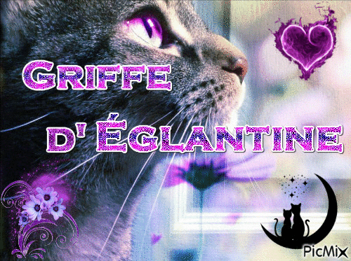 Griffe d'Églantine - Zdarma animovaný GIF