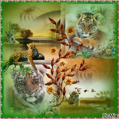 portrait des bébés tigres - Gratis animerad GIF