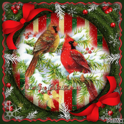 Christmas Cardinal-RM-12-24-22 - GIF animé gratuit