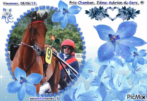 Le champion Aubrion du Gers. © - Free animated GIF