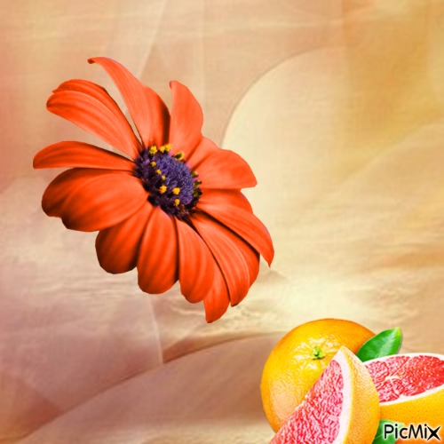 Fleur et fruits 💖 - Free PNG