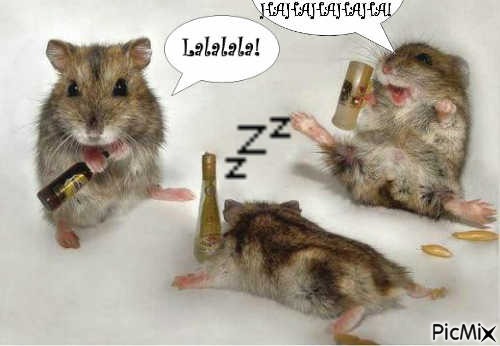 hamster saoul - 免费PNG