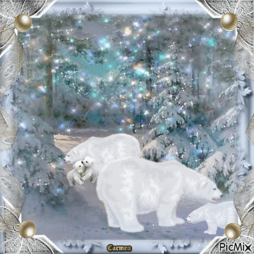 Orsi polari - Ingyenes animált GIF
