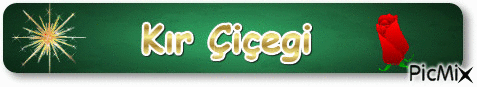cıcek - Bezmaksas animēts GIF