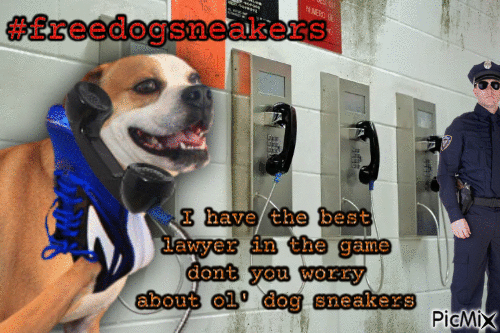 Dog Sneakers Uses His One Phone Call - Kostenlose animierte GIFs