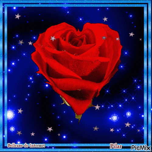 Rosa roja - GIF animasi gratis
