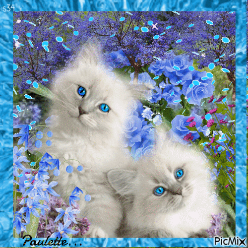 chats dans les fleurs - Animovaný GIF zadarmo