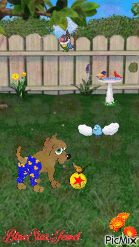 Dog Sympathizes With a Bird - GIF animasi gratis
