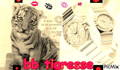 tigresse - Бесплатный анимированный гифка