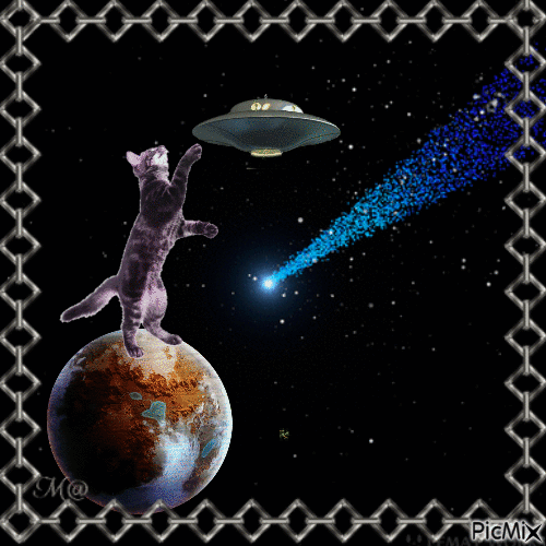 Cat in Space - GIF เคลื่อนไหวฟรี