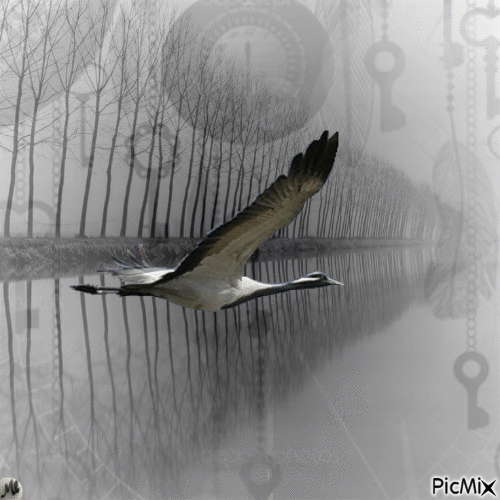 La cigüeña y el tiempo - Δωρεάν κινούμενο GIF