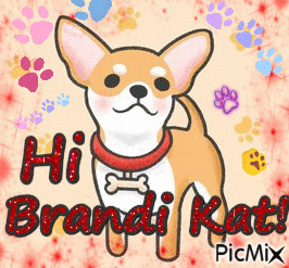 Hi Brandi Kat - Gratis animerad GIF