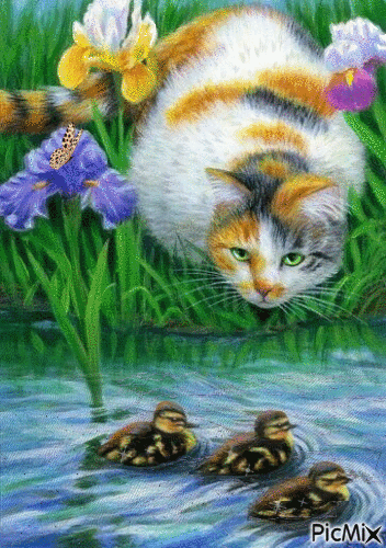 Le chat au bord de l'étang - GIF animé gratuit