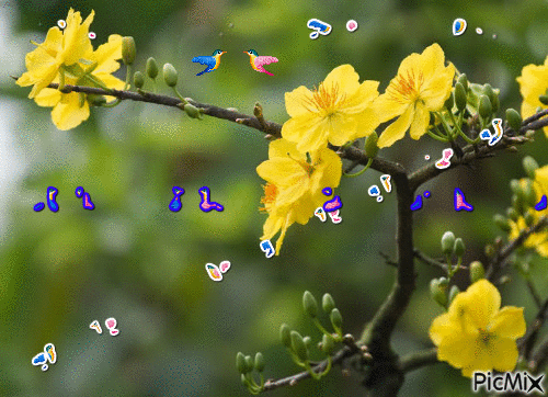 spring - Darmowy animowany GIF