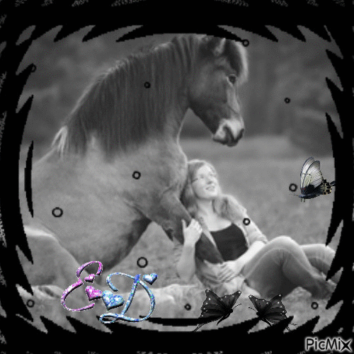woman and horse - Besplatni animirani GIF