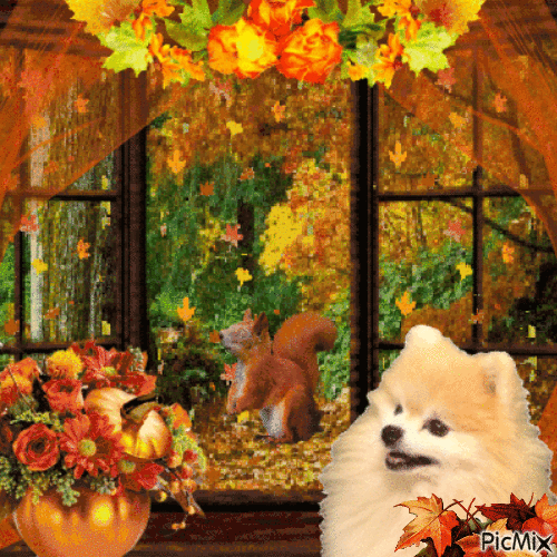 Autumn in front of the window - GIF animate gratis
