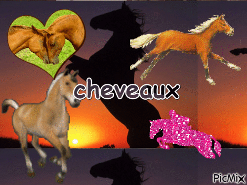 les cheveaux - Бесплатный анимированный гифка