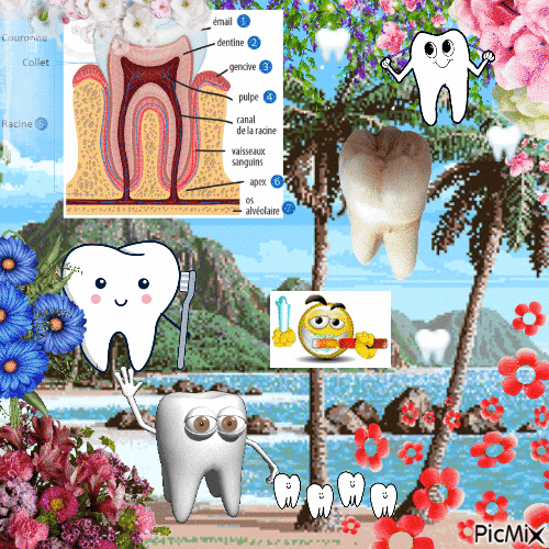 dents - GIF animado grátis