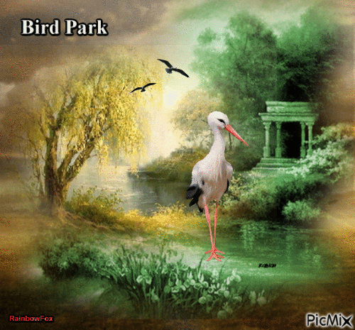 Bird Park - Ilmainen animoitu GIF