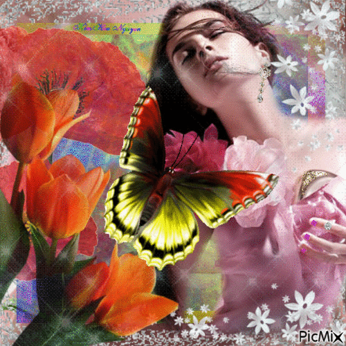 cánh bướm hồng phai - Бесплатни анимирани ГИФ