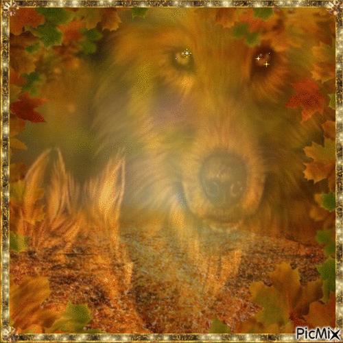autumn wolf - Gratis geanimeerde GIF
