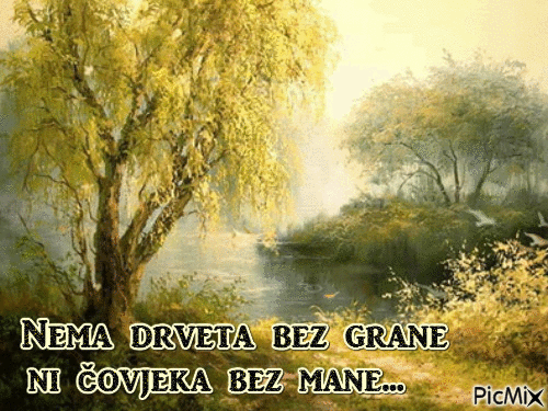 drveta - Бесплатный анимированный гифка