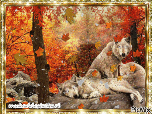 Le loup dans une forêt - Ingyenes animált GIF