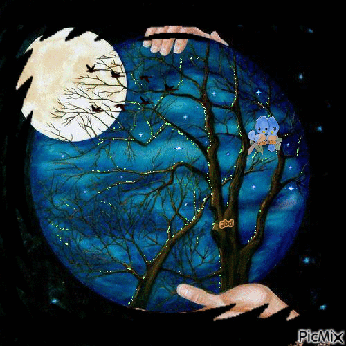 Full Moon Love Birds - Ilmainen animoitu GIF