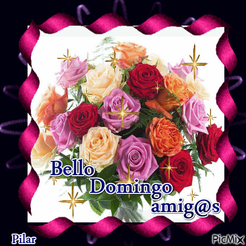 Domingo - Δωρεάν κινούμενο GIF
