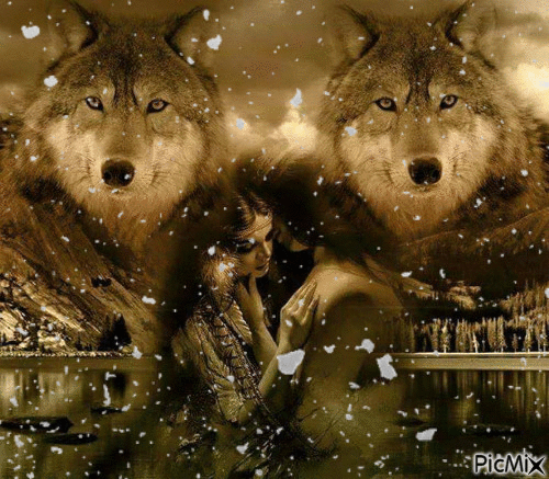 wolves and love - Free animated GIF