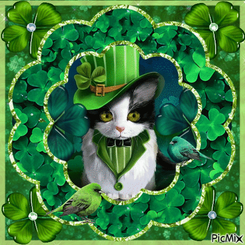 Saint-Patrick des chats - GIF animé gratuit