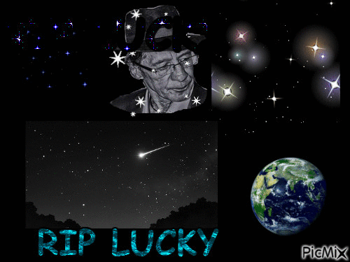 lucky - GIF animate gratis