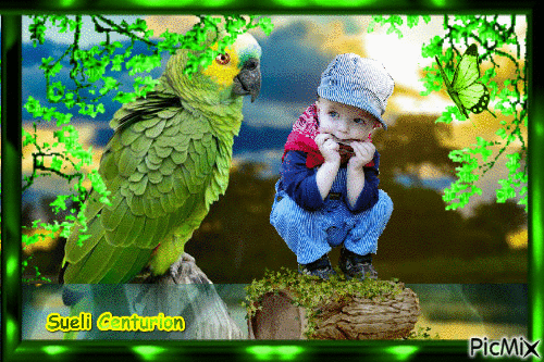O menino e o papagaio - Бесплатный анимированный гифка